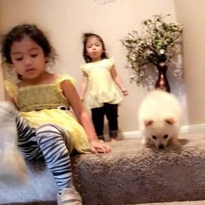 Meet your Posher, Josh